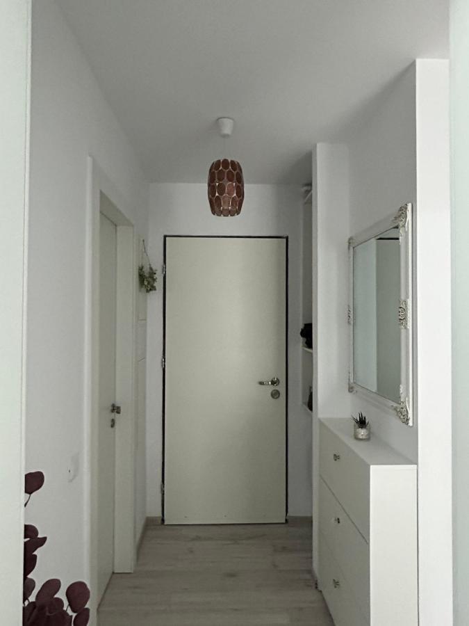 Floreasca Apartment